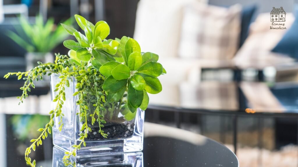 Best Air Purifying Plants for Home | Beginner-Friendly Indoor Plants