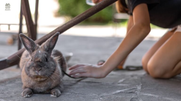 Rabbit Deterrent Guide: How to Keep Rabbits Away from Your Garden