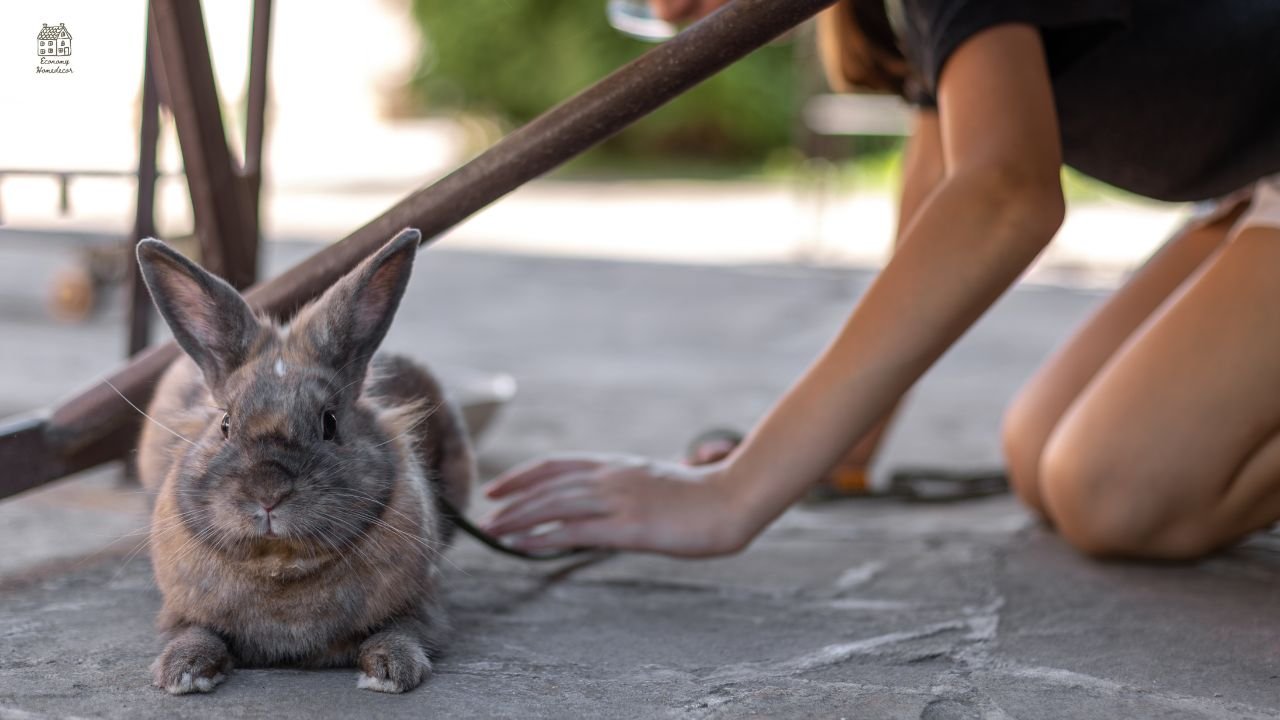 Rabbit Deterrent Guide: How to Keep Rabbits Away from Your Garden