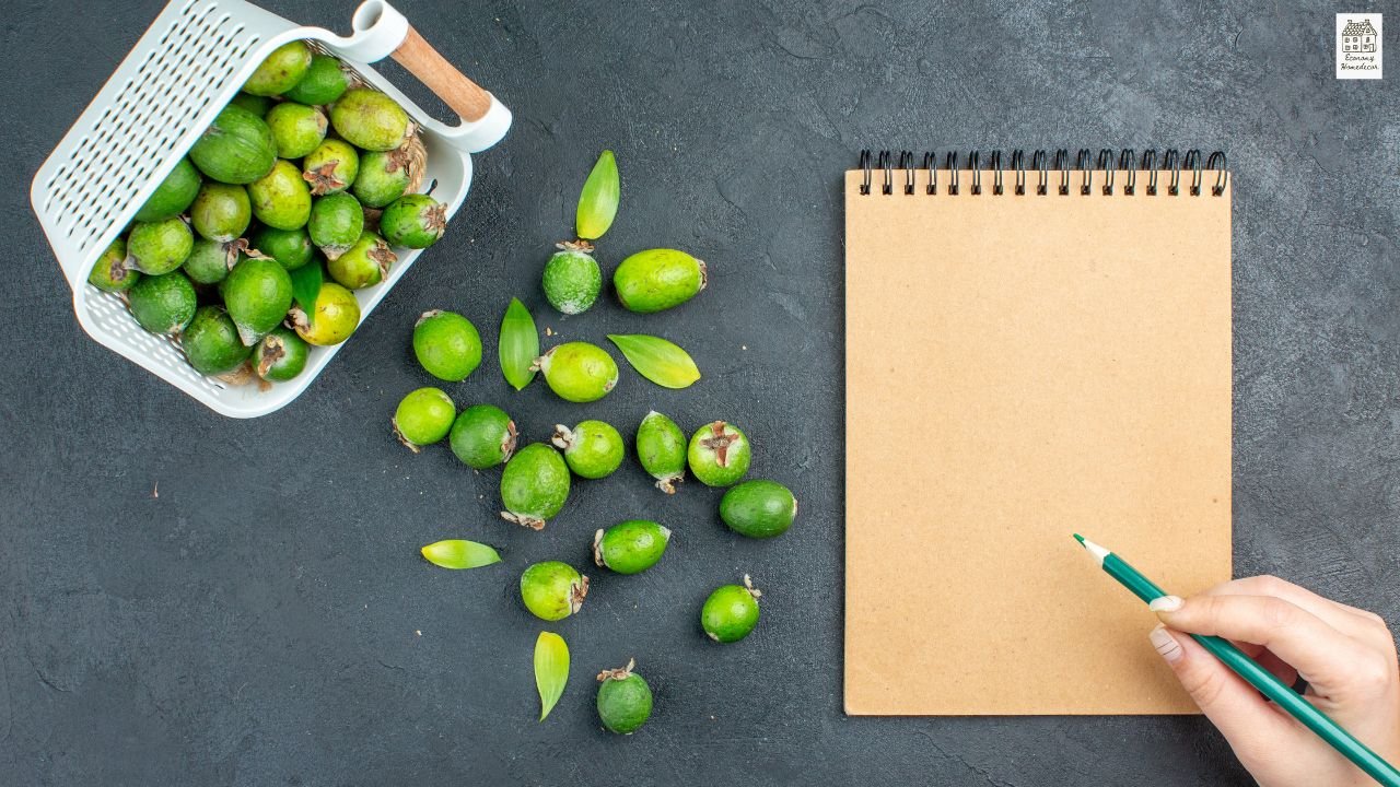 What Color Goes With Green: Ultimate Guide for Fashion, Home & Design