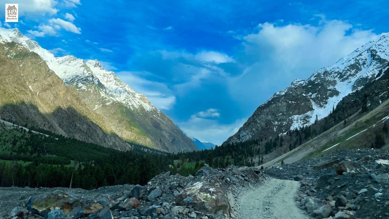 Kyo Sohma Explained: Complete Character Guide, Personality, Curse & Ending in Fruits Basket