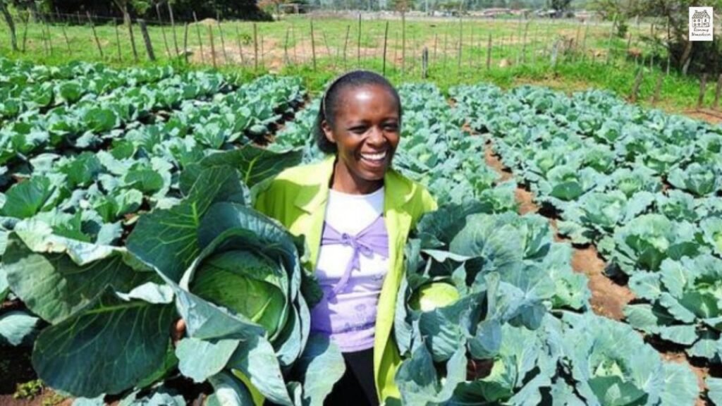 Best Cabbage Companion Plants for Bigger, Healthier Harvests (Full Guide)