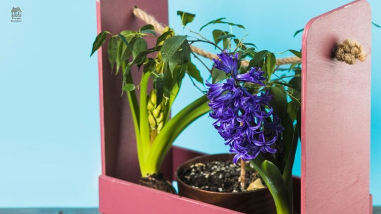 DIY Plant Stand Ideas: Easy Step-by-Step Guide for Beginners (Wood, Modern & Budget Designs)