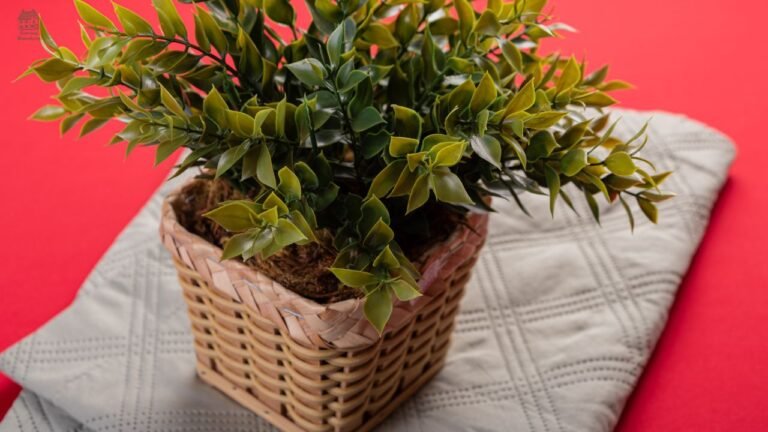 Ming Aralia (Polyscias fruticosa) Care Guide: Complete Indoor Growing & Troubleshooting Tips