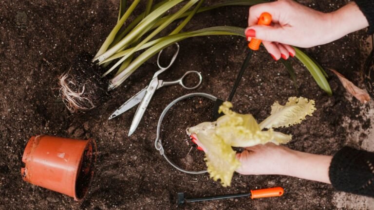 🌱 How to Plant Elephant Ear Bulbs (Easy Step-by-Step Guide for Beginners)