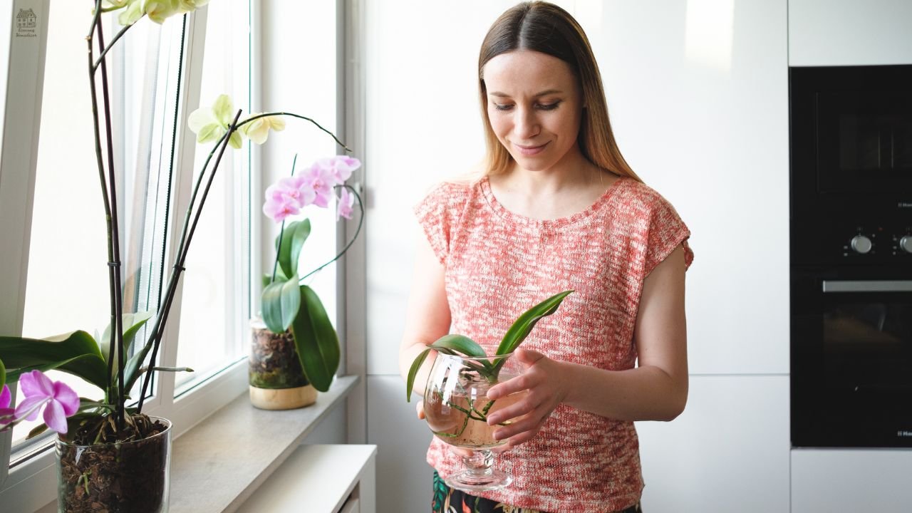 How Long Can Flowers Go Without Water? (Exact Timeline + What Really Happens)