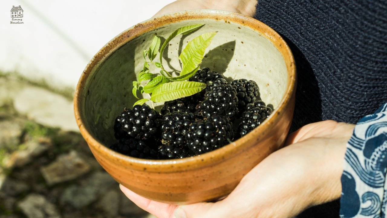 Blueberry Companion Plants in Home for Healthier Gardens