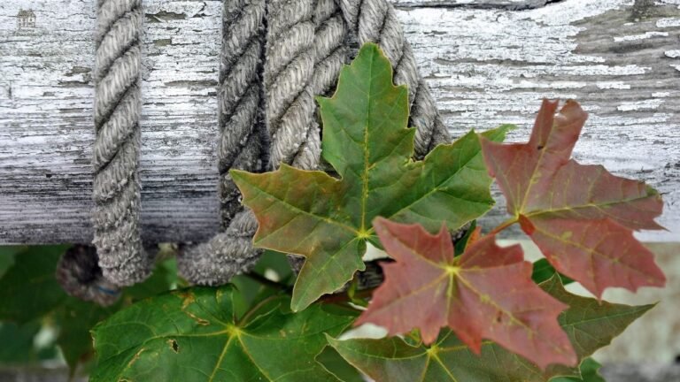 Gray Green Paint: Best Colors, Ideas & Expert Tips for Every Room