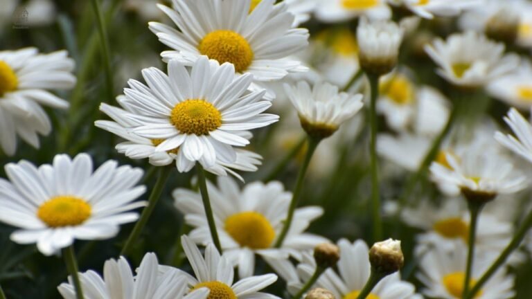 Faux Flowers: The Ultimate Guide to Realistic Artificial Blooms